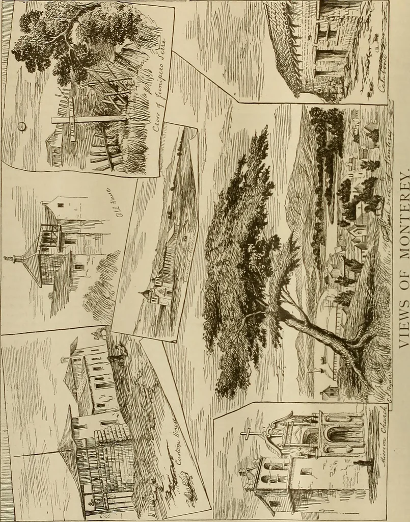 An illustration from The Carrier dove, 1884, leaf 207