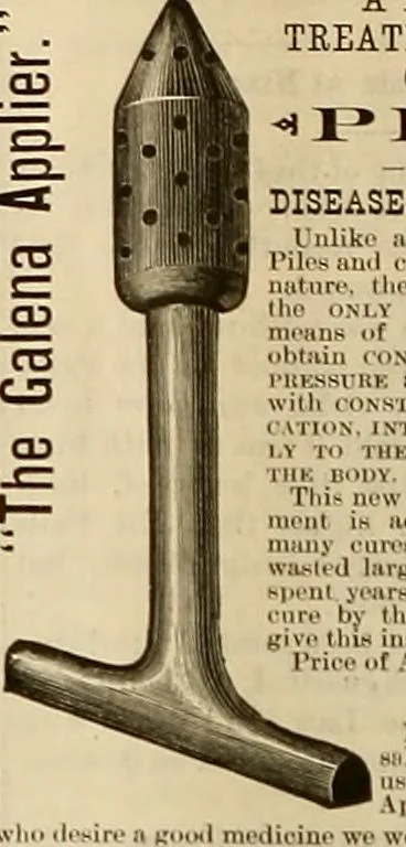 An illustration from The Carrier dove, 1884, leaf 255