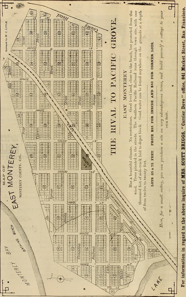 An illustration from The Carrier dove, 1884, leaf 257