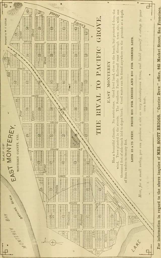 An illustration from The Carrier dove, 1884, leaf 26