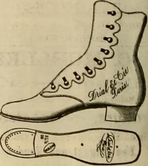 An illustration from The Carrier dove, 1884, leaf 261