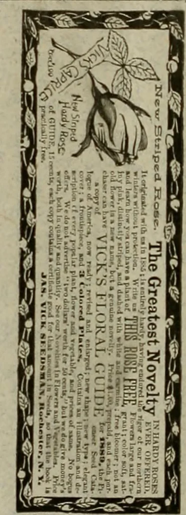 An illustration from The Carrier dove, 1884, leaf 265