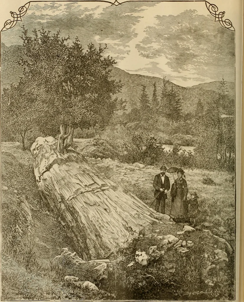 An illustration from The Carrier dove, 1884, leaf 267