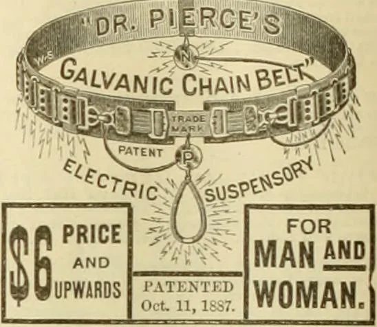 An illustration from The Carrier dove, 1884, leaf 28