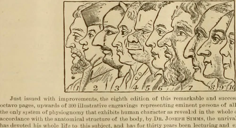 An illustration from The Carrier dove, 1884, leaf 29