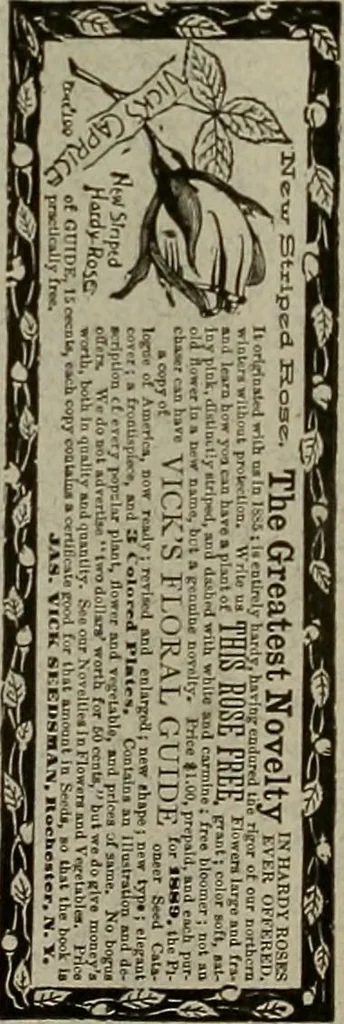 An illustration from The Carrier dove, 1884, leaf 295