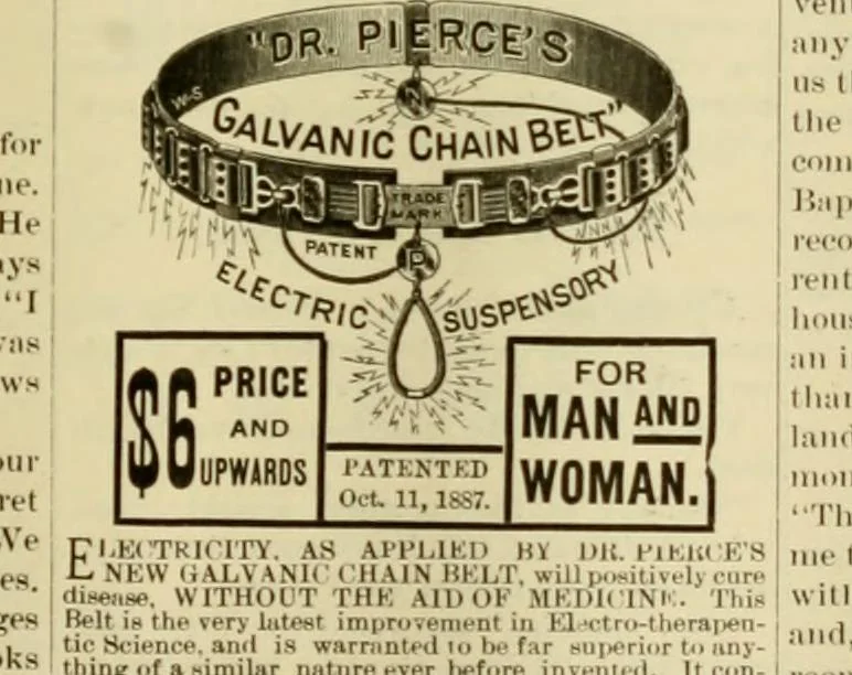An illustration from The Carrier dove, 1884, leaf 314