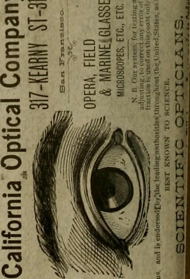 An illustration from The Carrier dove, 1884, leaf 345