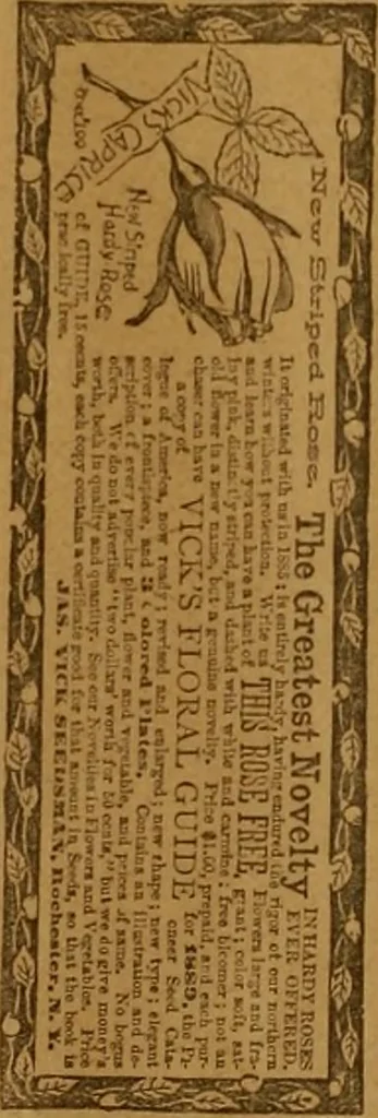 An illustration from The Carrier dove, 1884, leaf 375