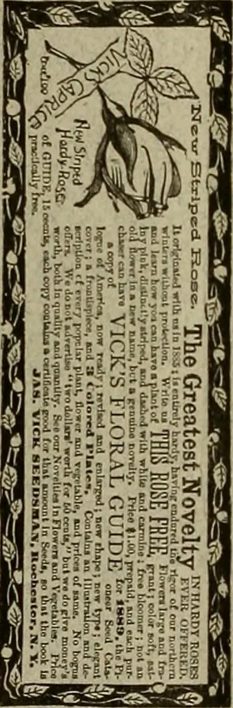 An illustration from The Carrier dove, 1884, leaf 38