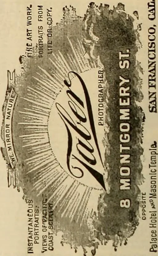 An illustration from The Carrier dove, 1884, leaf 393