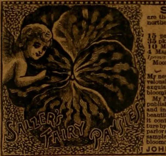An illustration from The Carrier dove, 1884, leaf 401