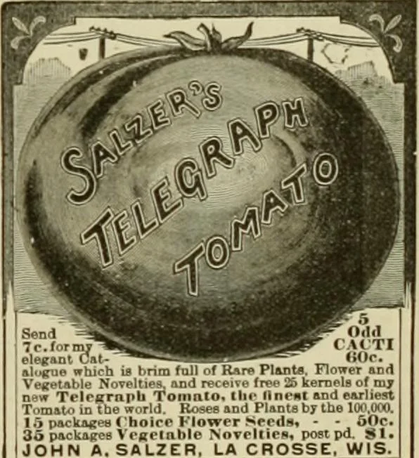 An illustration from The Carrier dove, 1884, leaf 436
