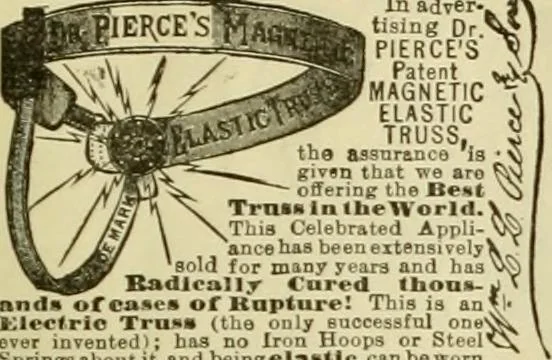 An illustration from The Carrier dove, 1884, leaf 476