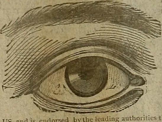 An illustration from The Carrier dove, 1884, leaf 5
