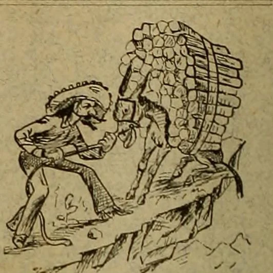 An illustration from The Carrier dove, 1884, leaf 515
