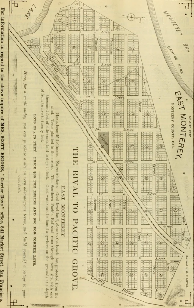 An illustration from The Carrier dove, 1884, leaf 55