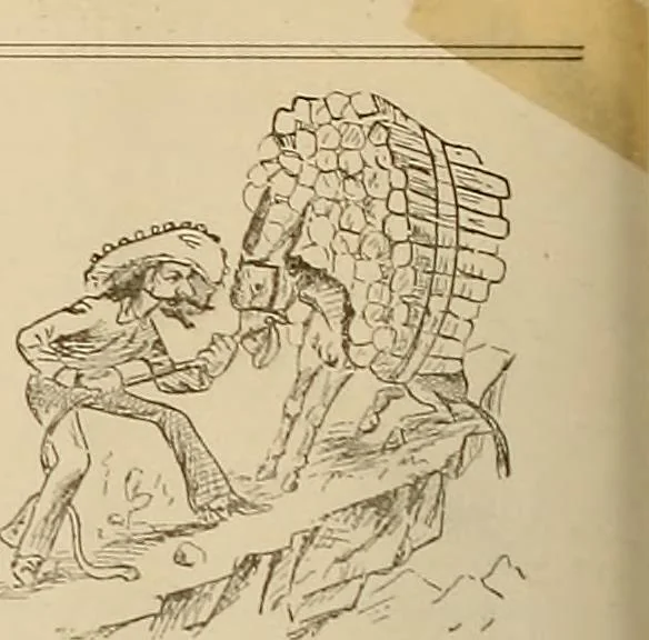 An illustration from The Carrier dove, 1884, leaf 551