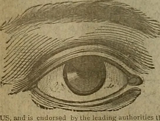 An illustration from The Carrier dove, 1884, leaf 65