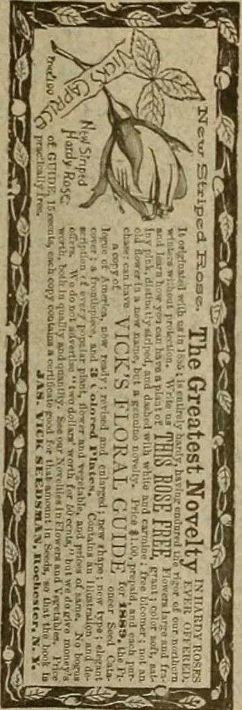 An illustration from The Carrier dove, 1884, leaf 7