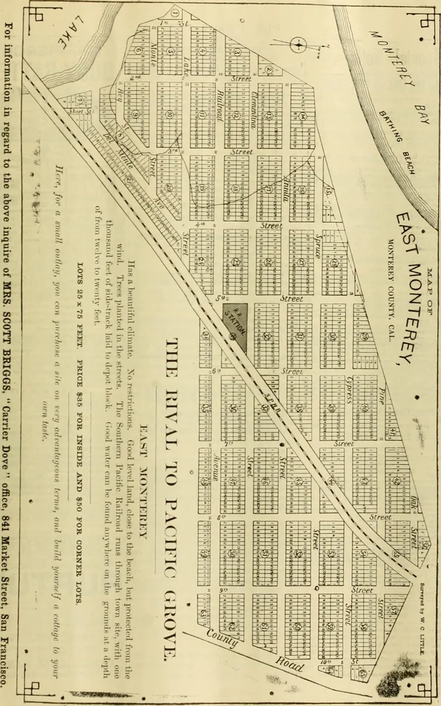 An illustration from The Carrier dove, 1884, leaf 82