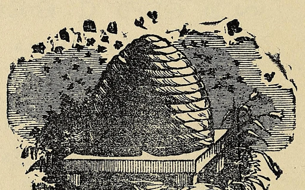An illustration from Carrier reading-book, 1894, leaf 110