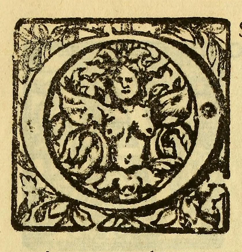 An illustration from Cartas, 1632, leaf 13