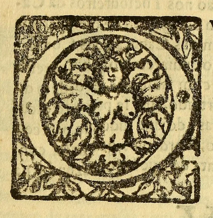 An illustration from Cartas, 1632, leaf 17