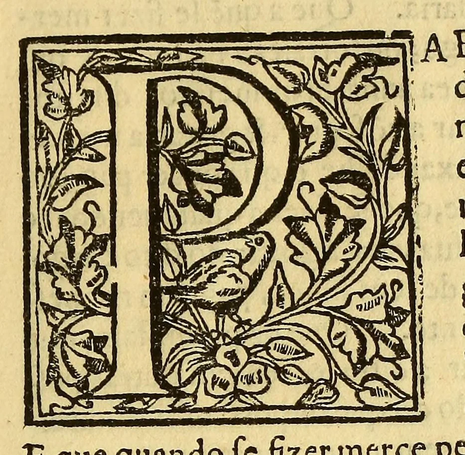 An illustration from Cartas, 1632, leaf 27