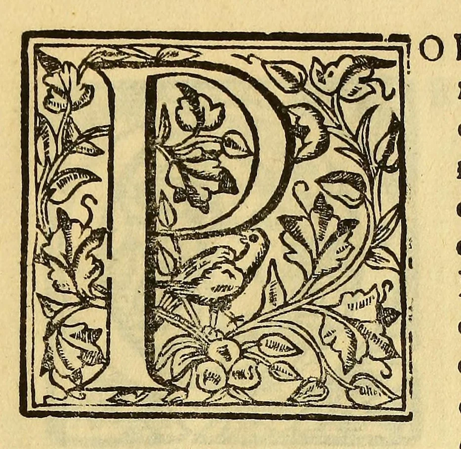 An illustration from Cartas, 1632, leaf 33