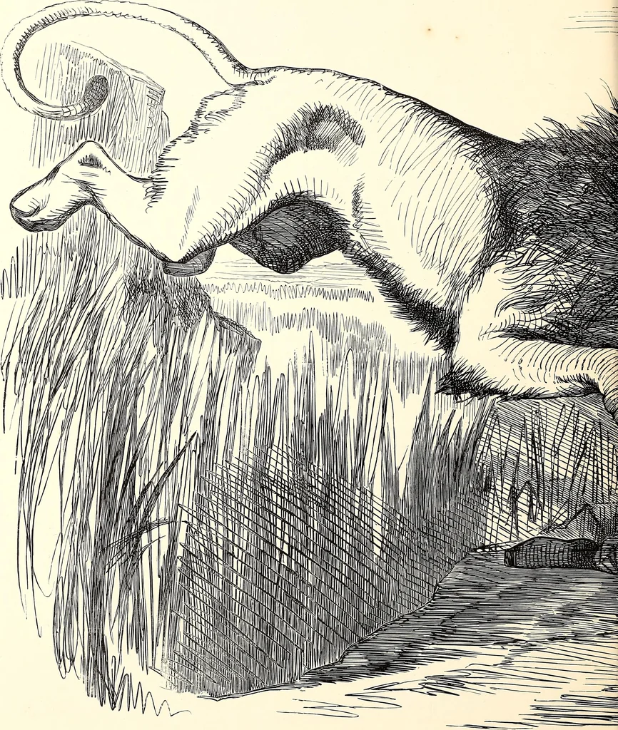 An illustration from Cartoons : Selected from the pages of "Punch", 1901, leaf 23