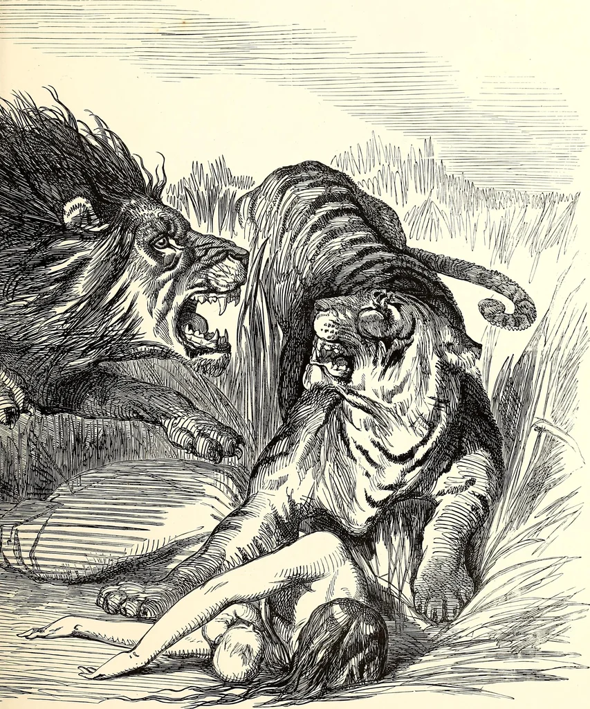 An illustration from Cartoons : Selected from the pages of "Punch", 1901, leaf 24