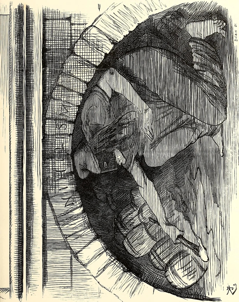 An illustration from Cartoons : Selected from the pages of "Punch", 1901, leaf 68