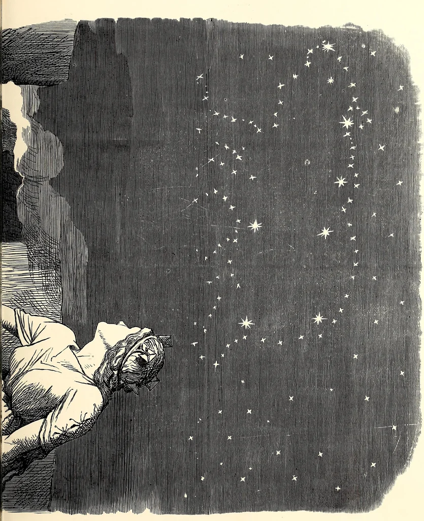 An illustration from Cartoons : Selected from the pages of "Punch", 1901, leaf 92