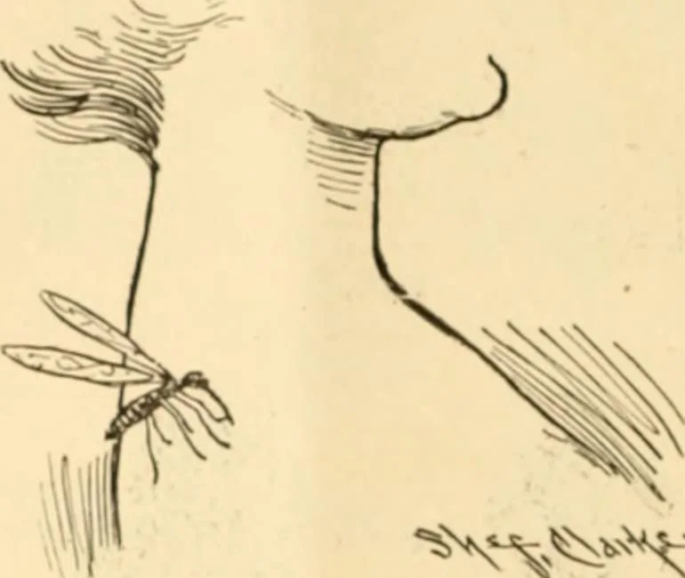 An illustration from Caricature. ed 1913, 1913, leaf 17