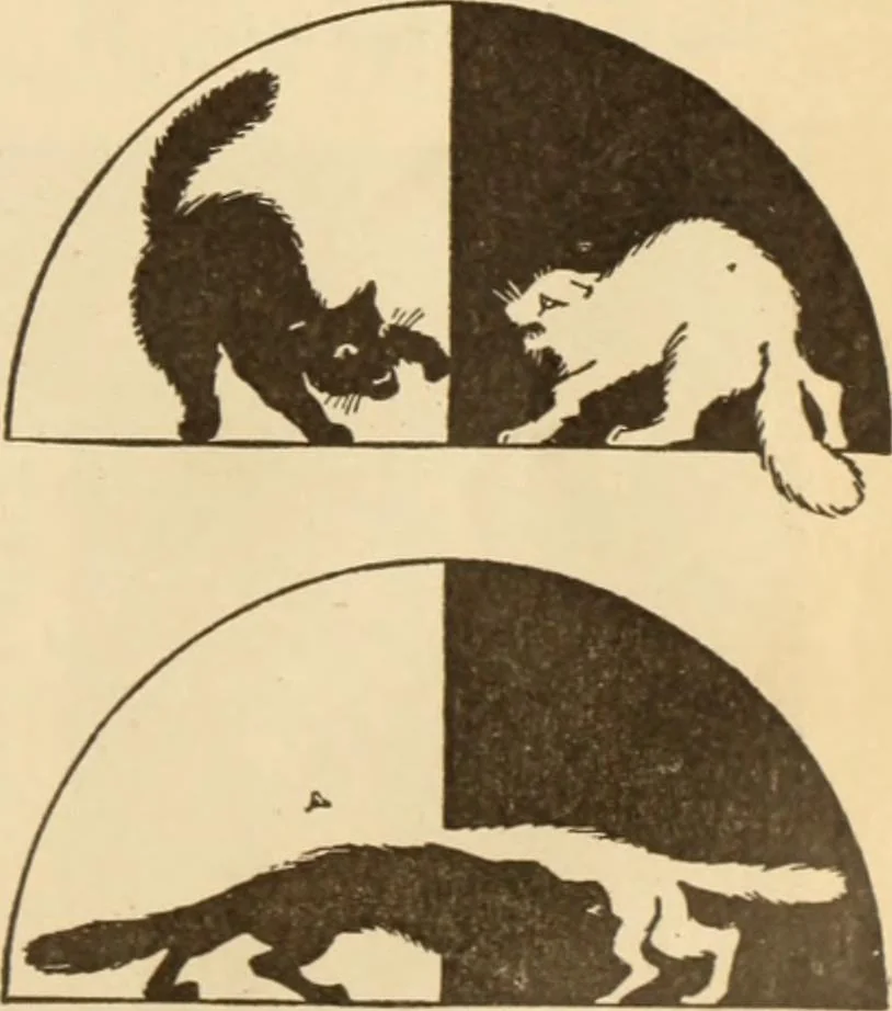 An illustration from Caricature. ed 1913, 1913, leaf 48