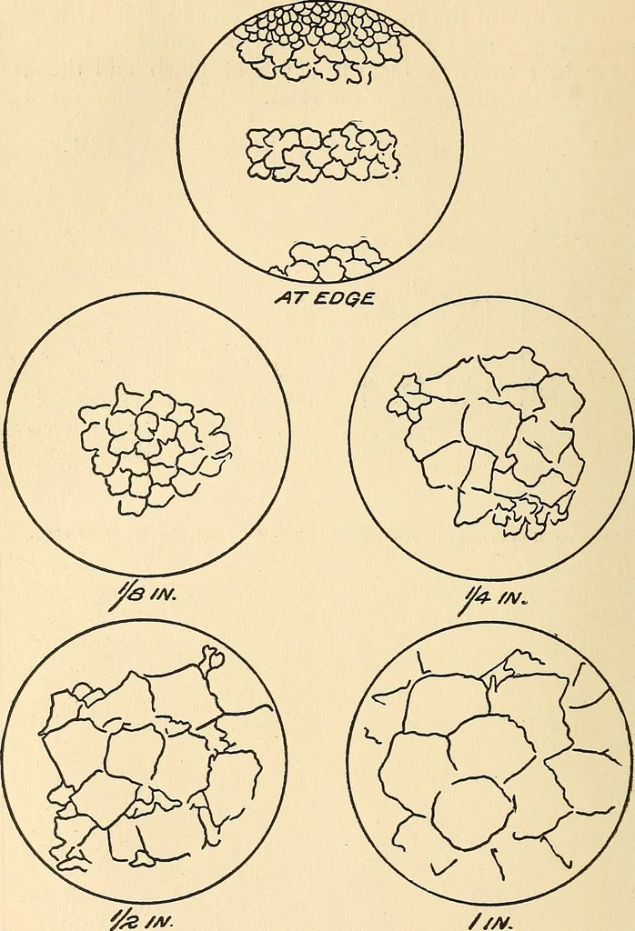 An illustration from The car wheel; giving the results of a series of investigations, 1907, leaf 53