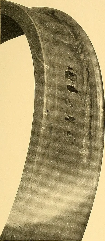 An illustration from The car wheel; giving the results of a series of investigations, 1907, leaf 66
