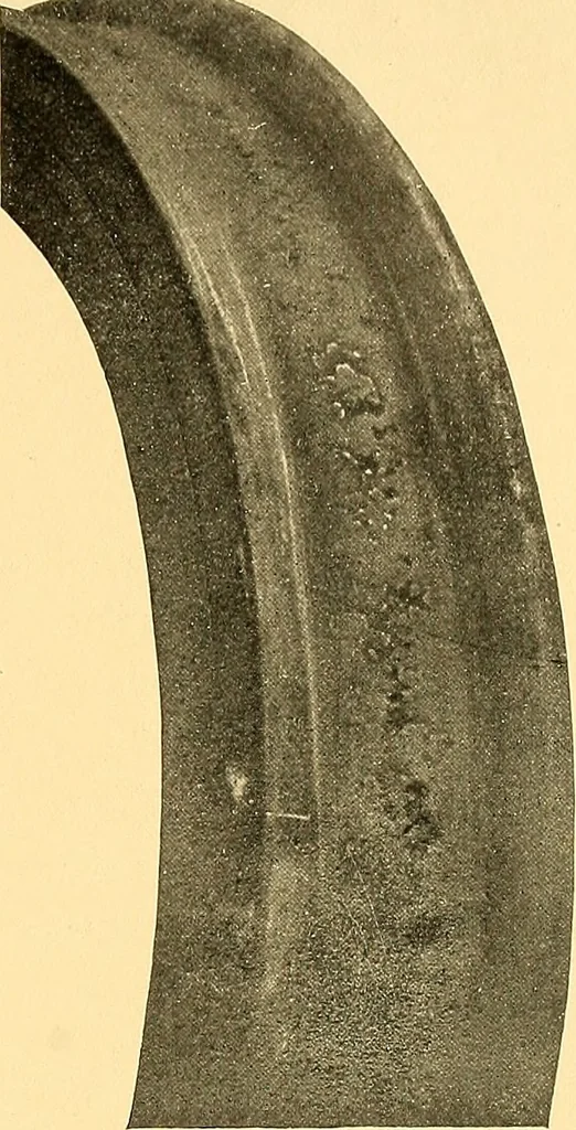 An illustration from The car wheel; giving the results of a series of investigations, 1907, leaf 66