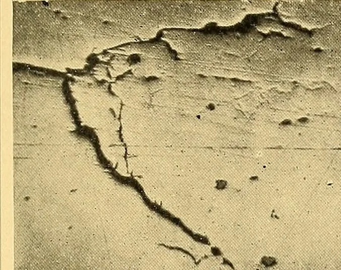 An illustration from The car wheel; giving the results of a series of investigations, 1907, leaf 68