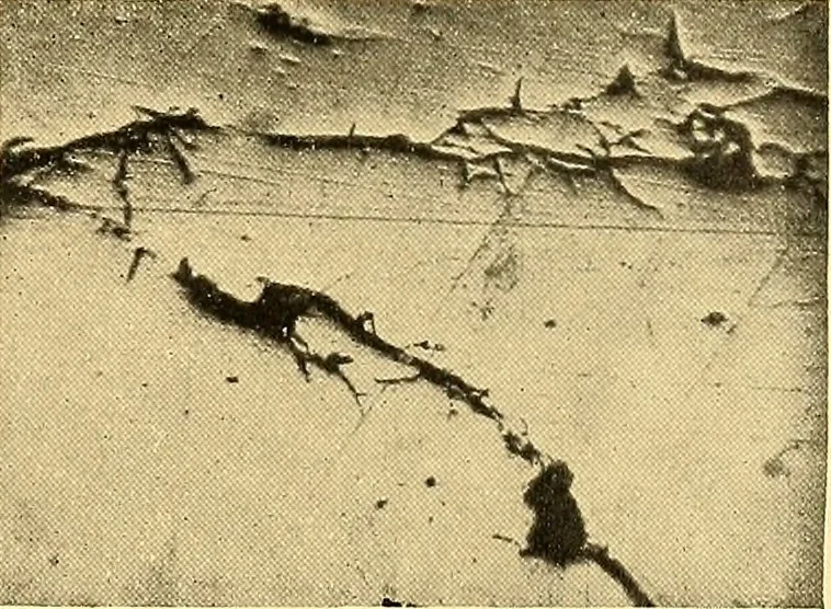 An illustration from The car wheel; giving the results of a series of investigations, 1907, leaf 68
