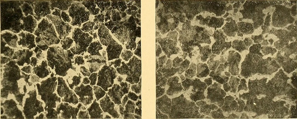 An illustration from The car wheel; giving the results of a series of investigations, 1907, leaf 76