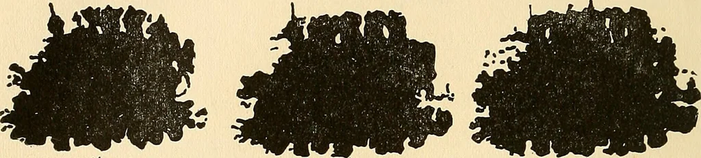An illustration from The car wheel; giving the results of a series of investigations, 1907, leaf 89