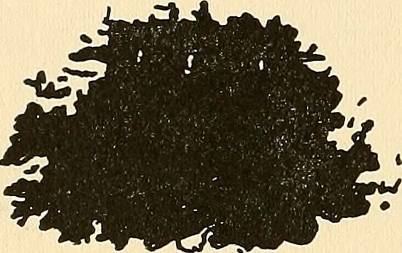 An illustration from The car wheel; giving the results of a series of investigations, 1907, leaf 89