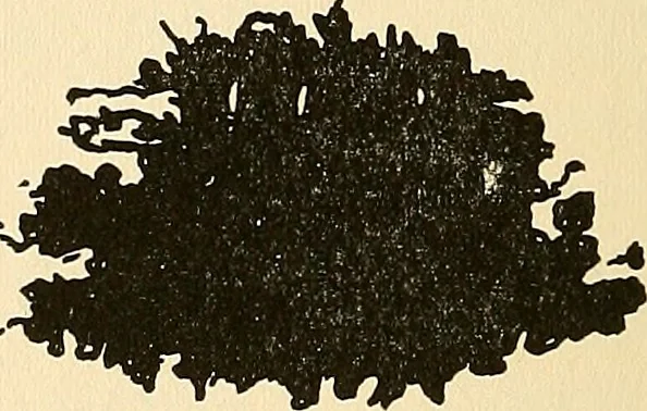 An illustration from The car wheel; giving the results of a series of investigations, 1907, leaf 89