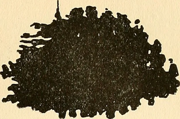 An illustration from The car wheel; giving the results of a series of investigations, 1907, leaf 90