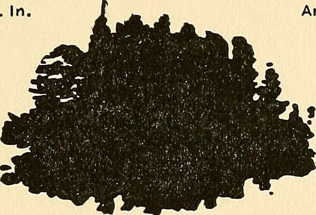 An illustration from The car wheel; giving the results of a series of investigations, 1907, leaf 90