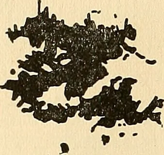 An illustration from The car wheel; giving the results of a series of investigations, 1907, leaf 93