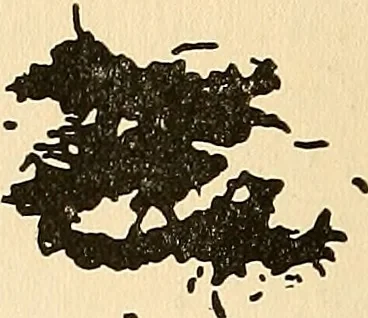 An illustration from The car wheel; giving the results of a series of investigations, 1907, leaf 93