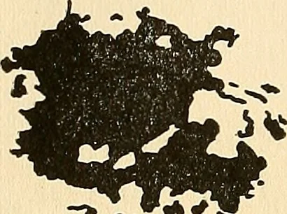 An illustration from The car wheel; giving the results of a series of investigations, 1907, leaf 93